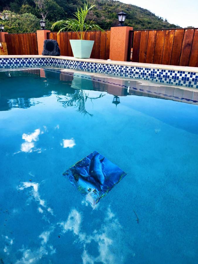 Royal Vybez Vacation Homes Spanish Town Екстериор снимка